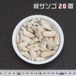 Ɩp }TS 20(hޗp)@15KG