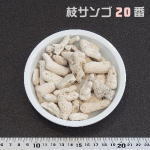 業務用 枝サンゴ 20番(濾材用)　10KG