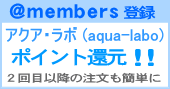 MыACApiAANA{ aqua-labo members